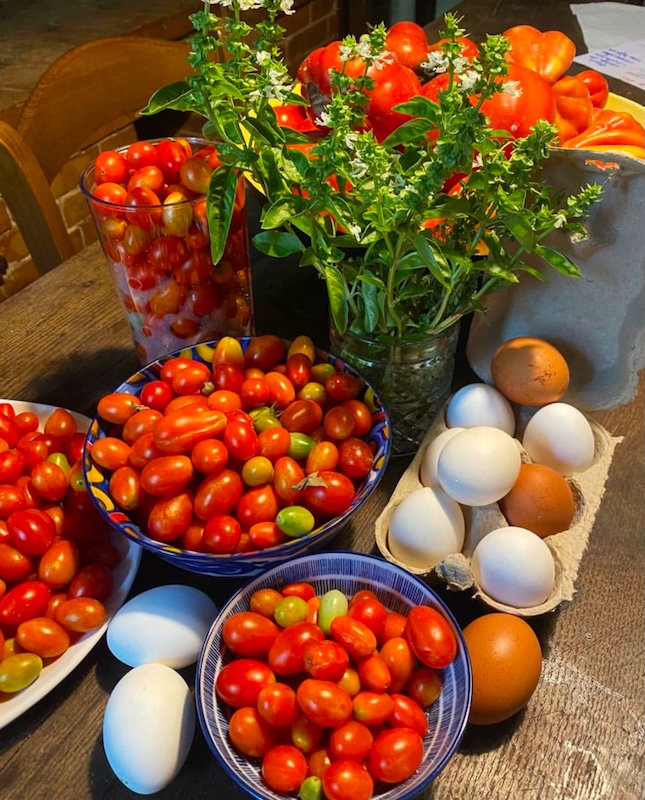 Pomodori e uova