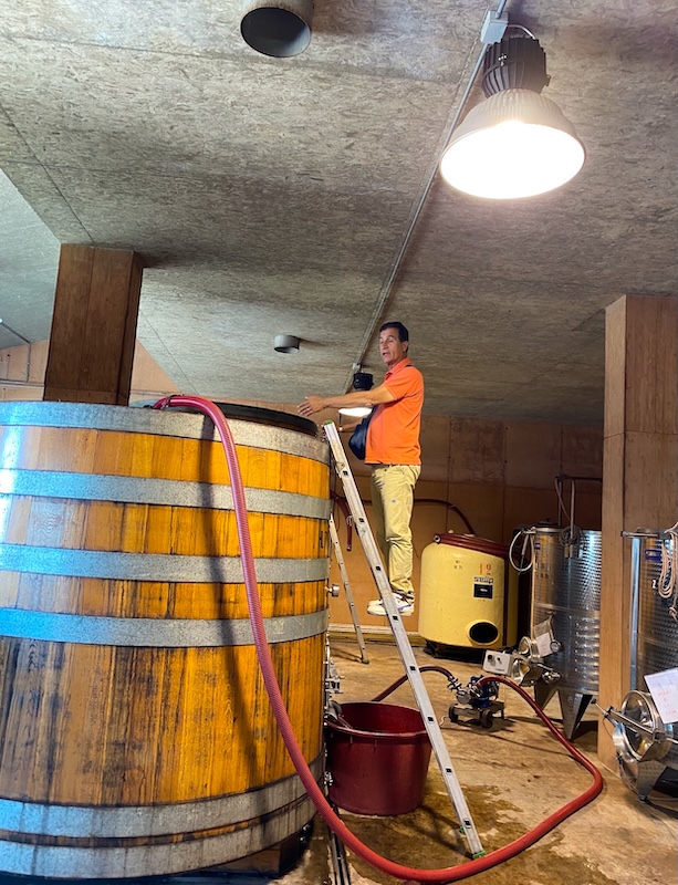 Lavoro in cantina