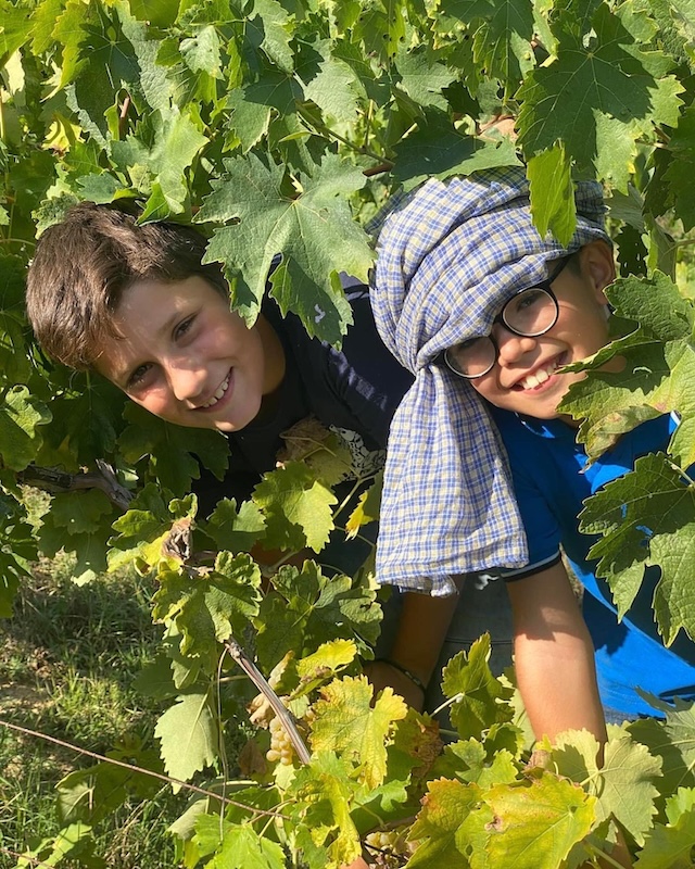 Giochi in vigna